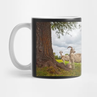 Three goats on green pasture Mug